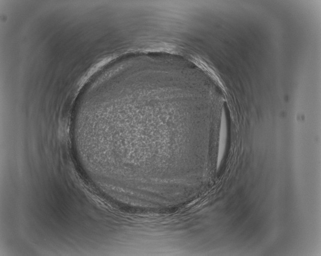 X0000085230483200703231602