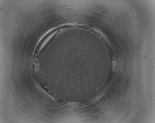 X0000085230484200703231602