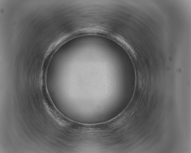 X0000085230486200703231602