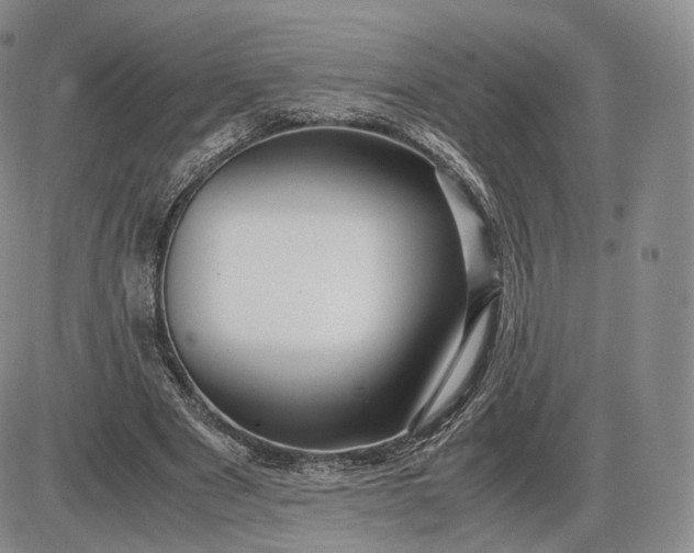 X0000085230489200703231602