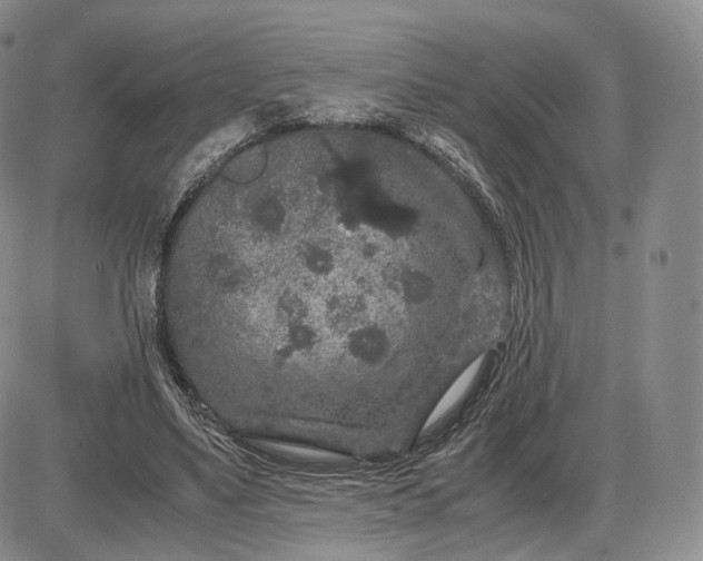 X0000085230491200703231602