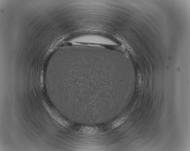 X0000085230494200703231602