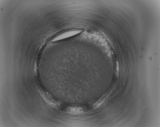 X0000085230500200703231602