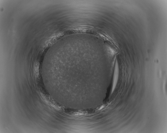 X0000085230504200703231602