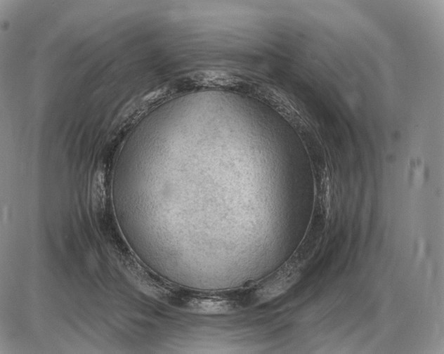 X0000085230506200703231602