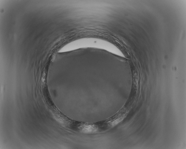 X0000085230507200703231602