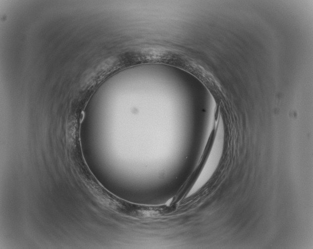 X0000085230509200703231602