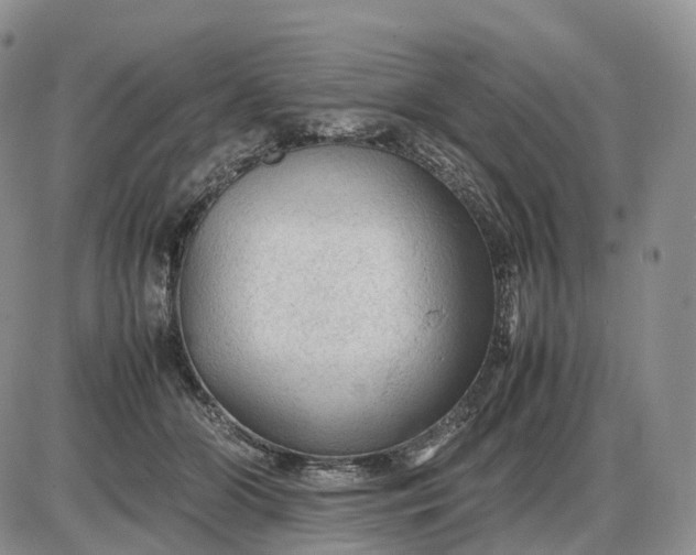 X0000085230510200703231602