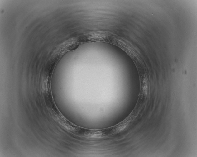 X0000085230514200703231602