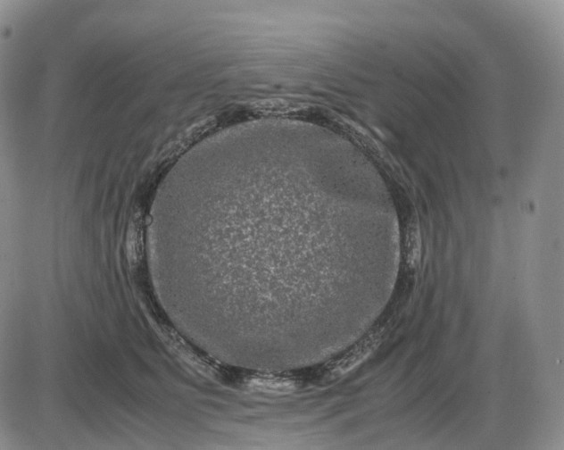 X0000085230515200703231602