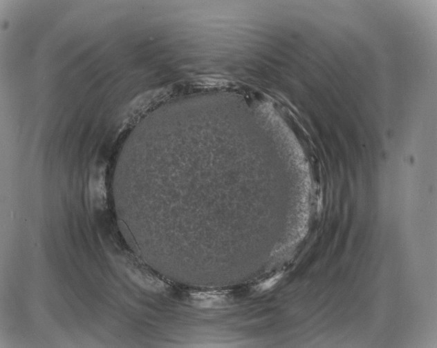 X0000085230516200703231602