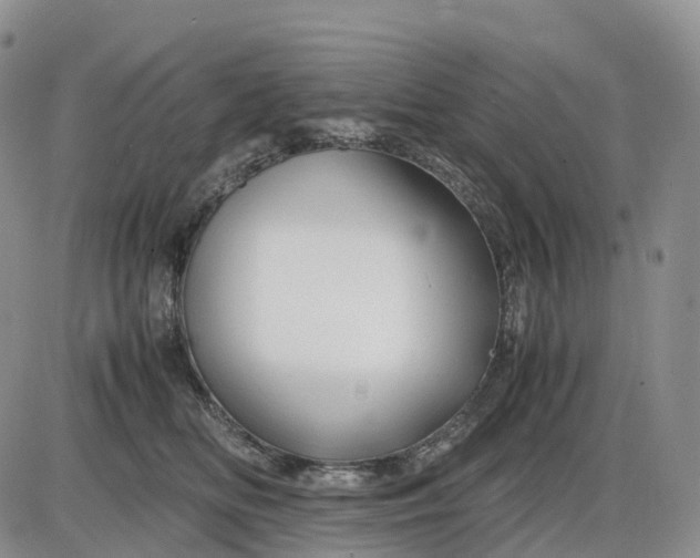 X0000085230518200703231602