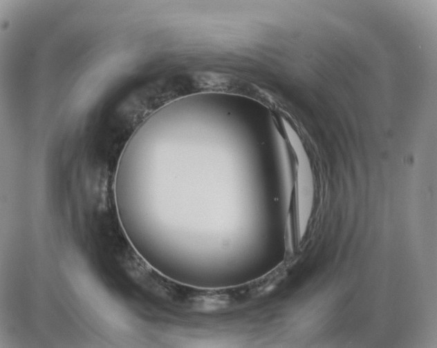 X0000085230525200703231601