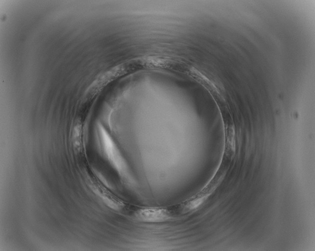 X0000085230526200703231601