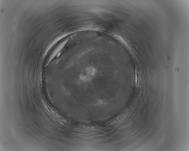 X0000085230531200703231601