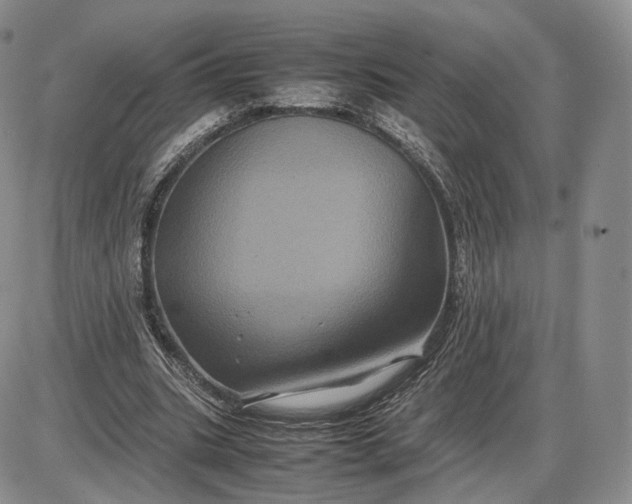 X0000085230535200703231601