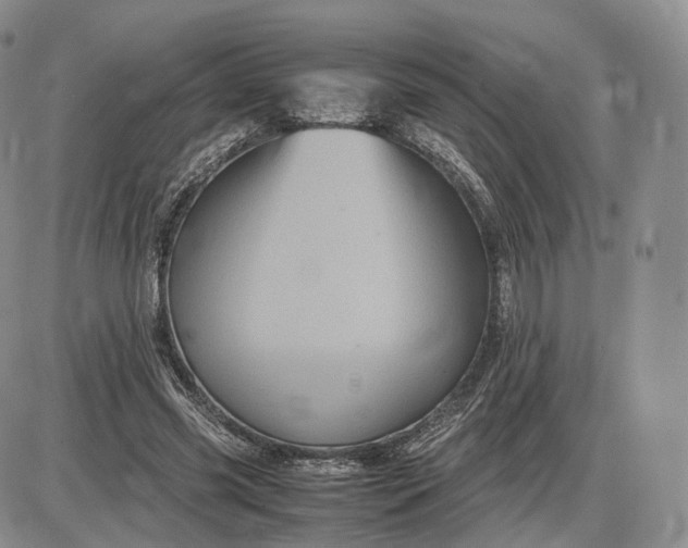 X0000085230541200703231601