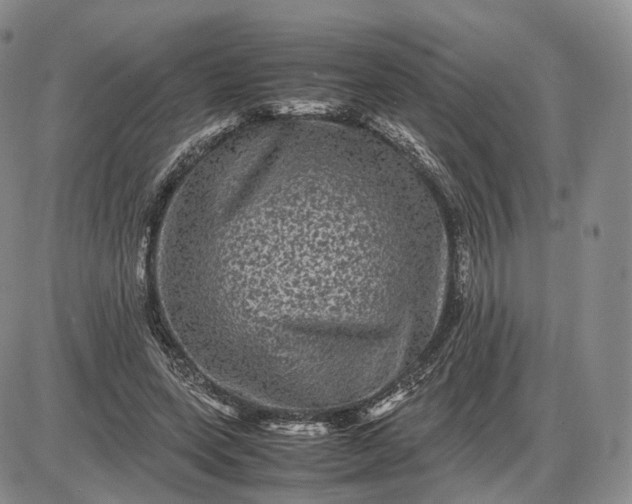 X0000085230543200703231601