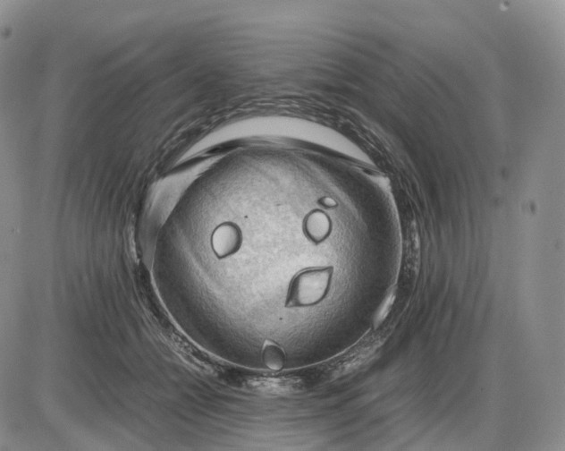 X0000085230558200703231601