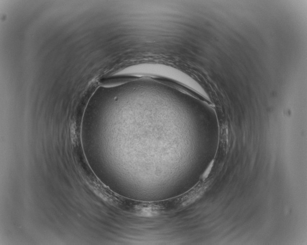 X0000085230564200703231601