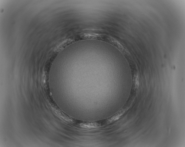 X0000085230567200703231601