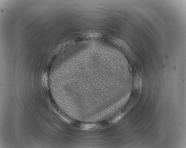 X0000085230575200703231601