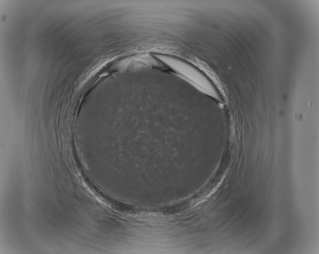 X0000085230577200703231601