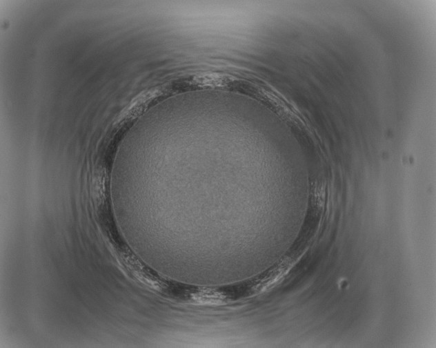 X0000085230603200703231600