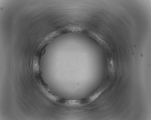 X0000085230622200703231600