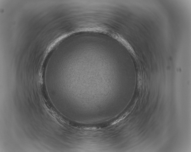 X0000085230628200703231559