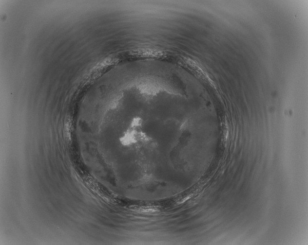 X0000085230643200703231559