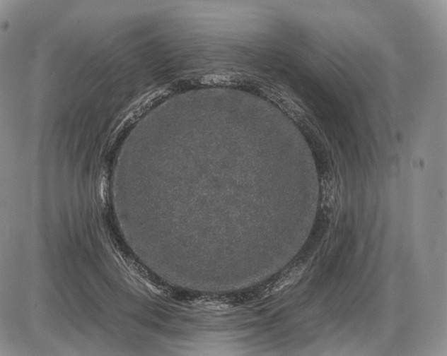 X0000085230648200703231559
