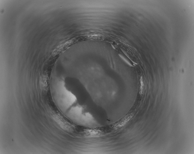 X0000085230654200703231559