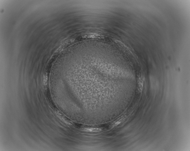 X0000085230657200703231559