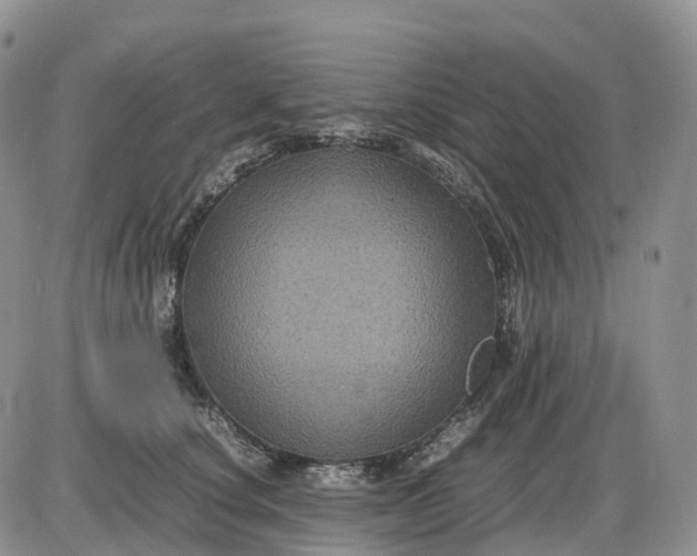 X0000085230660200703231559