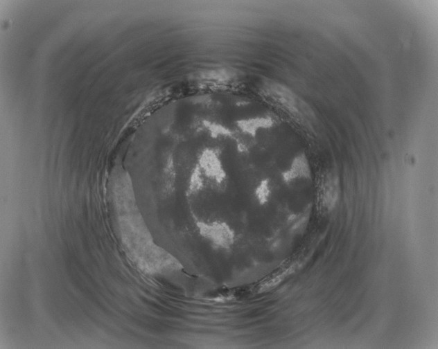 X0000085230661200703231559