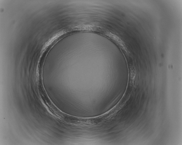 X0000085230674200703231559