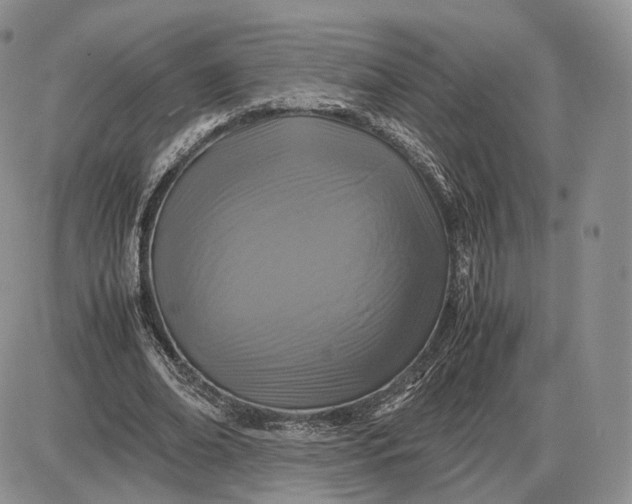 X0000085230678200703231559