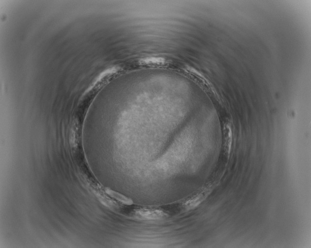 X0000085230712200703231558