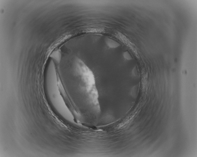 X0000085230721200703231557