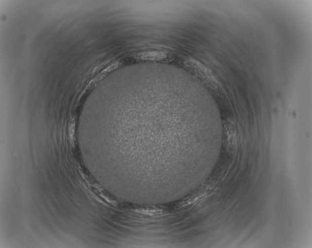 X0000085230745200703231558