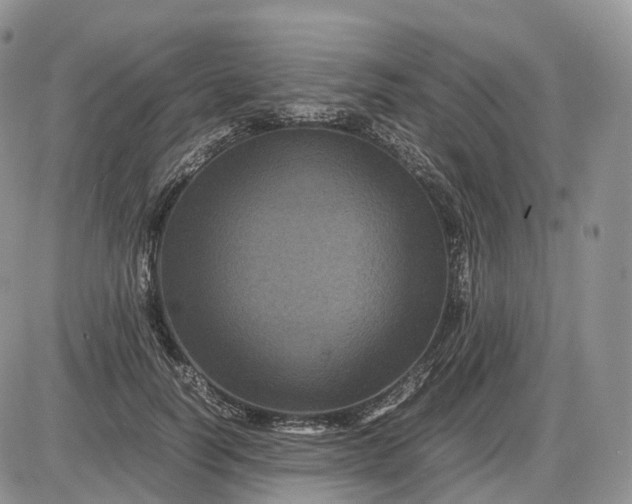 X0000085230746200703231558
