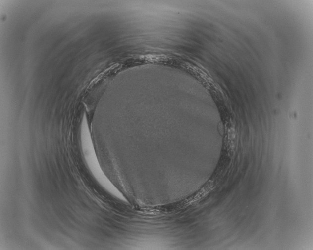X0000085230750200703231558