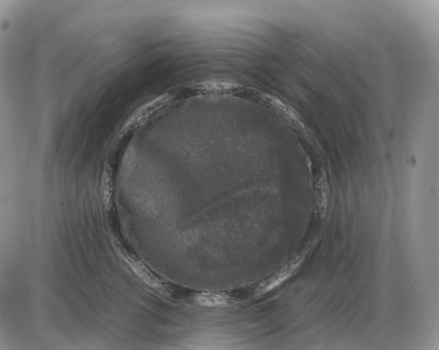 X0000085230762200703231558