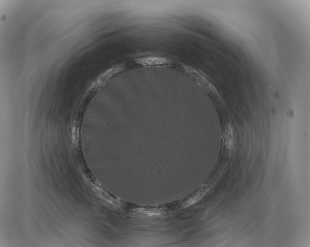 X0000085230763200703231558