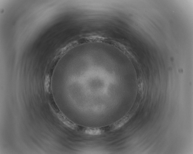 X0000085230767200703231558