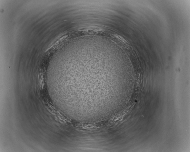 X0000085230774200703231557