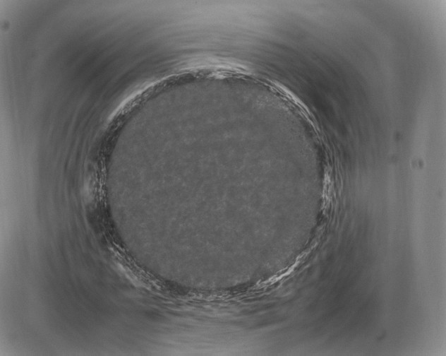 X0000085230775200703231557