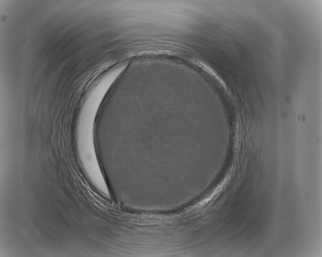 X0000085230777200703231557