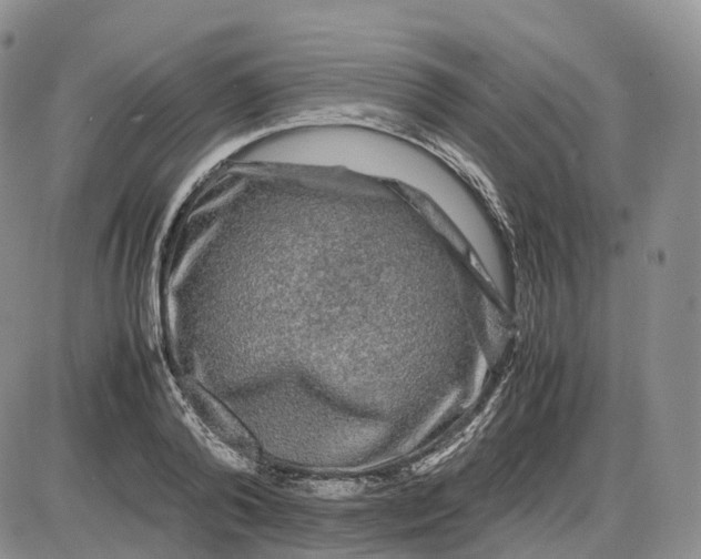 X0000085230792200703231557